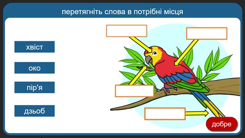 500px Parrot AP